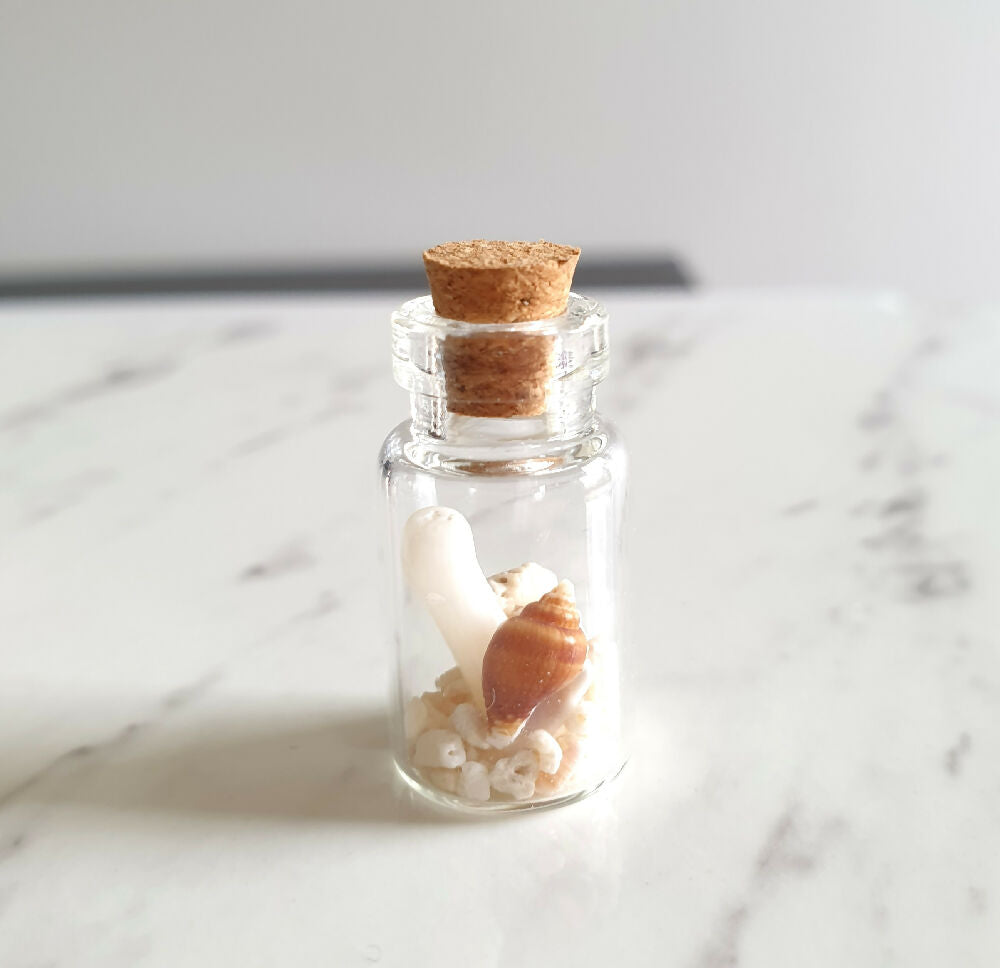 Coral + Shell beach bottle pendant copy 4