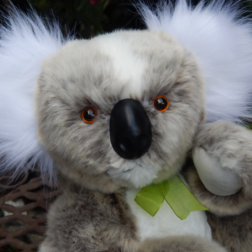 One of a Kind Koala Teddy Bear, Koala Teddy
