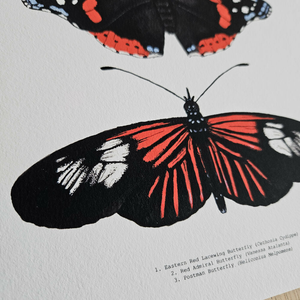 watercolour art print - insect series - red butterfly trio