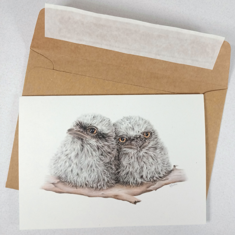 Australian-artist-greeting-card-tawny-frogmouth-chicks-card-and-envelope