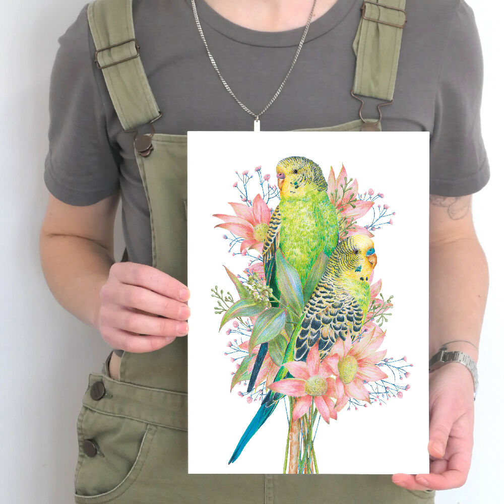 A4 art print of budgerigars amongst Australian native flowers, illustrated by Australian artist Kayla Reay.