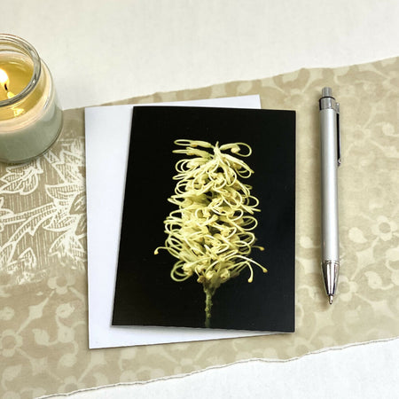 Yellow Grevillea Flower Art Card - Warm Honey in the Yellow Light