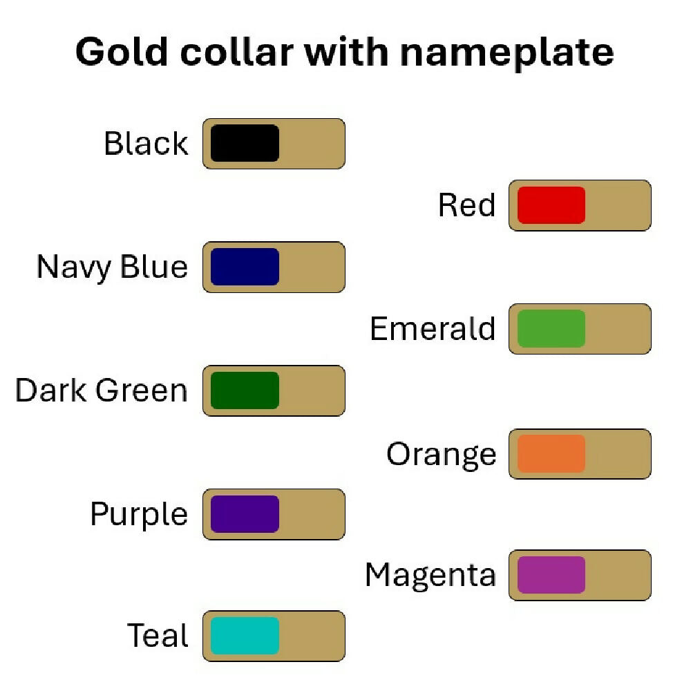 Personalised Waterproof Dog Collar - Light Colours