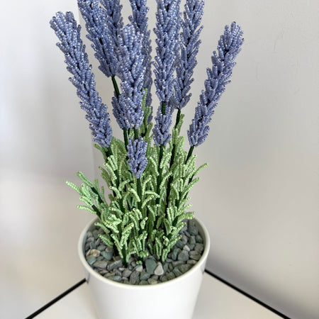 French-beaded potted lavender
