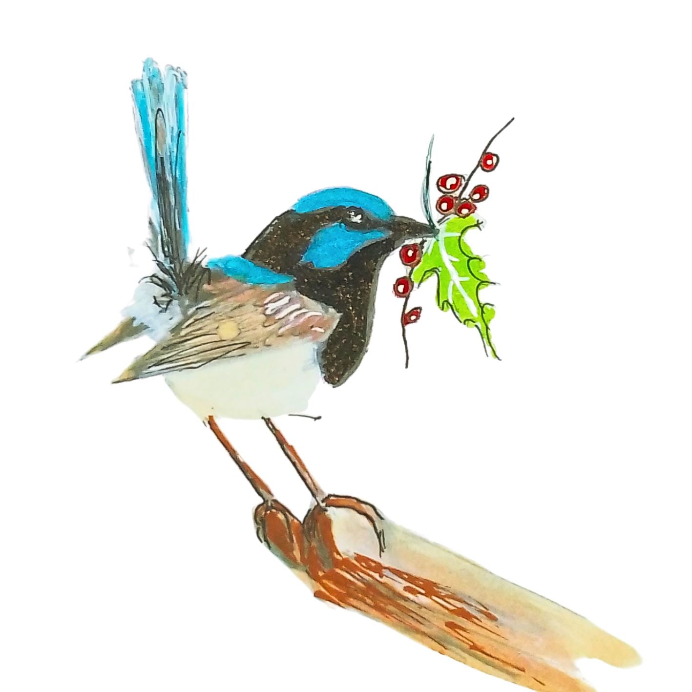 Blue Wren Unique Christmas Cards - 4 designs