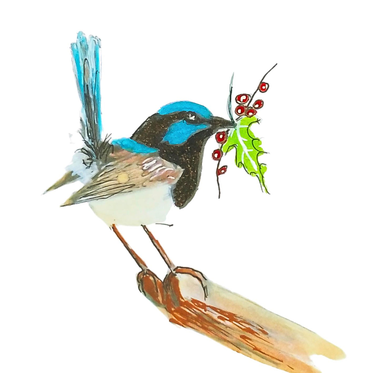 Blue Wren Unique Christmas Cards - 4 designs