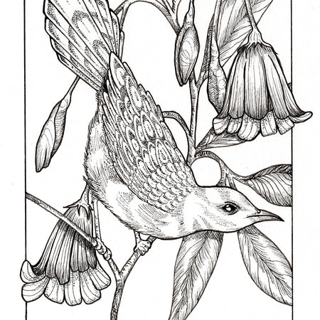 ACEO 