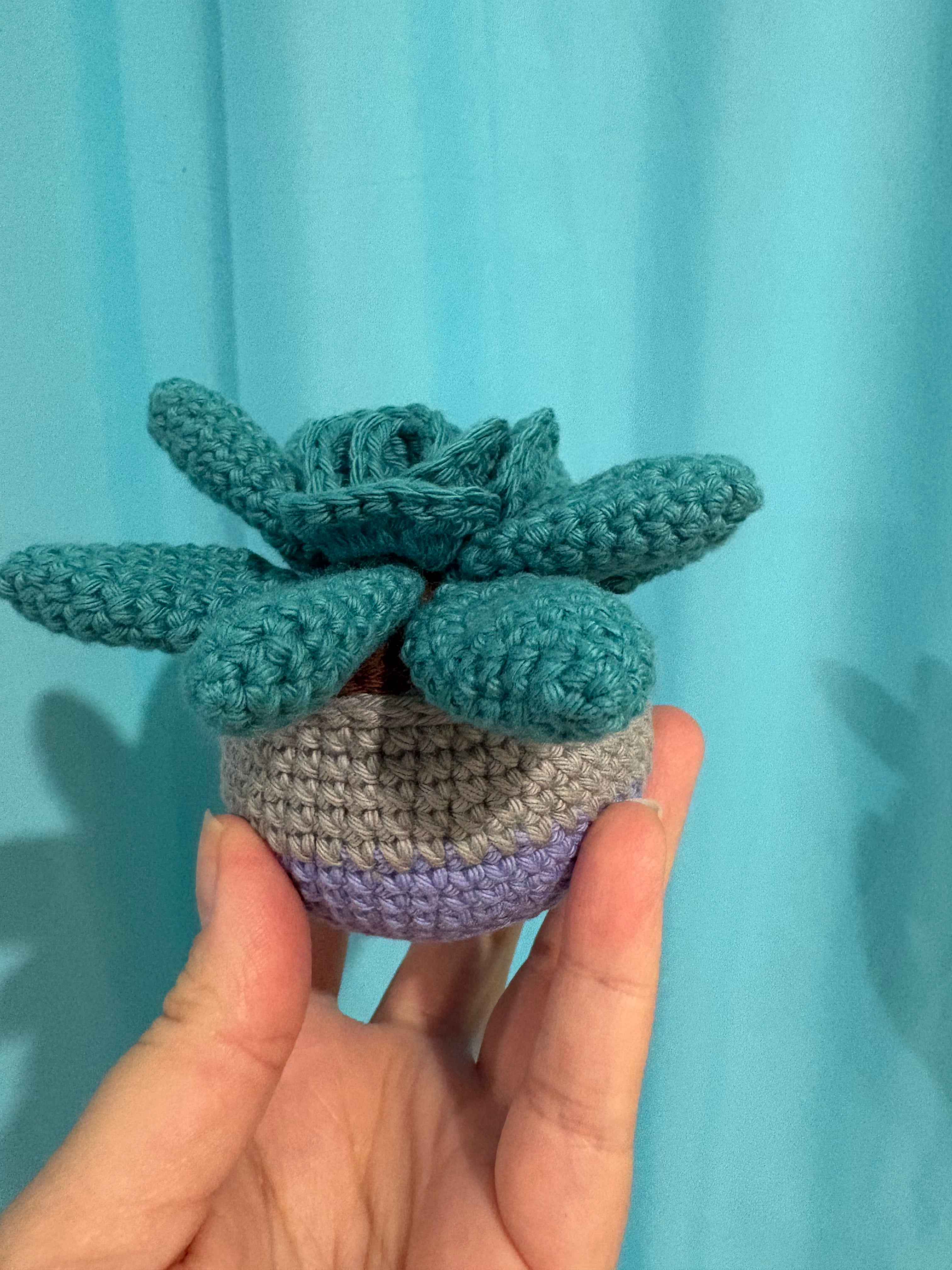 Crochet succulent plant