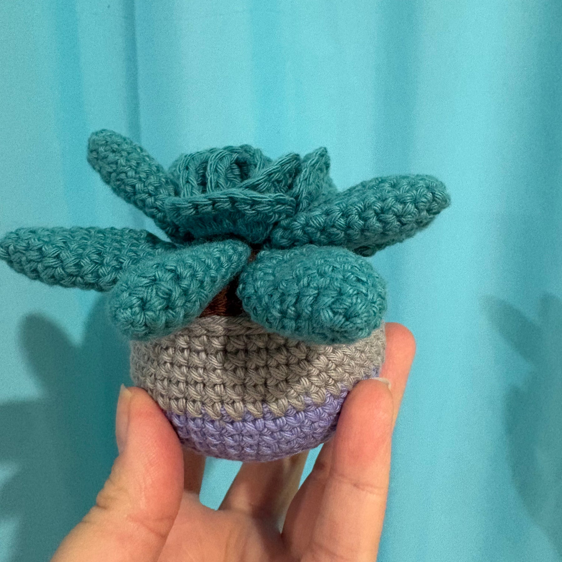 Crochet succulent plant
