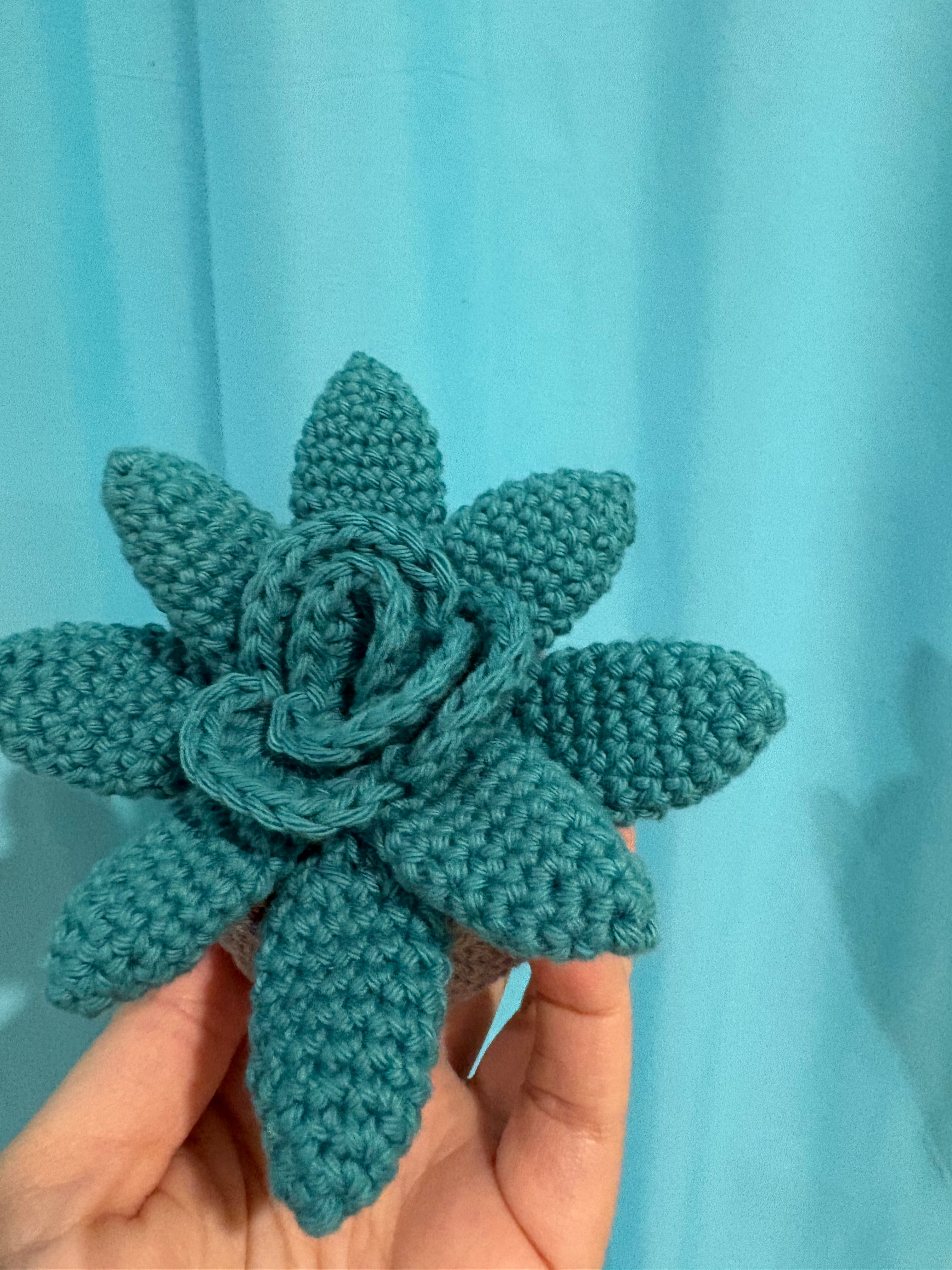 Crochet succulent plant