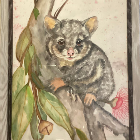 Tree possum
