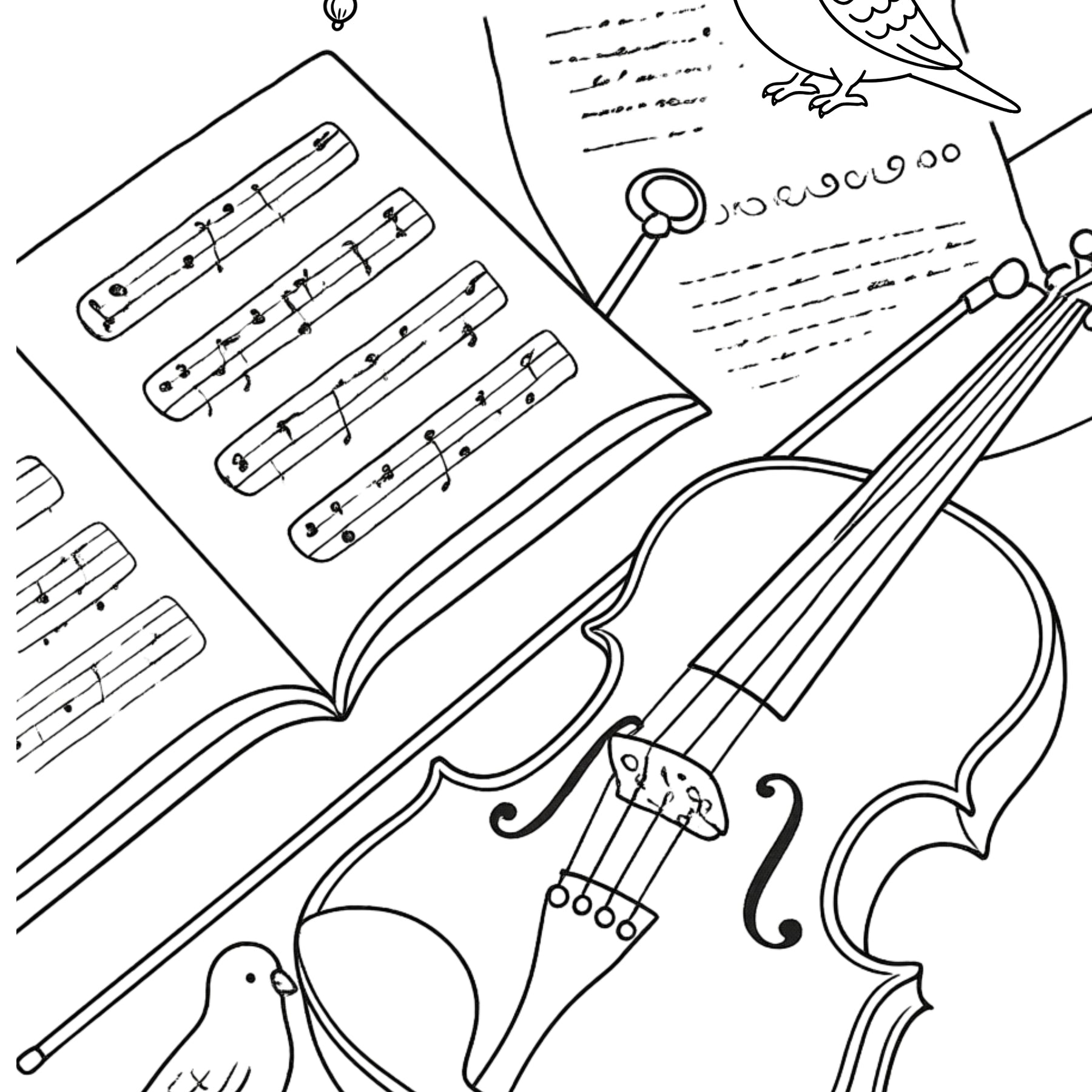 A4 Fine Art Colouring Sheet Pack | 5 Bird Designs