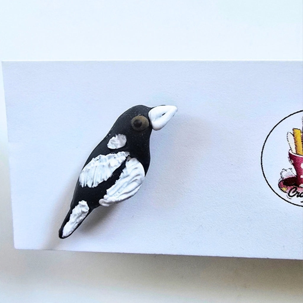 Australian Black and White Magpie Earrings