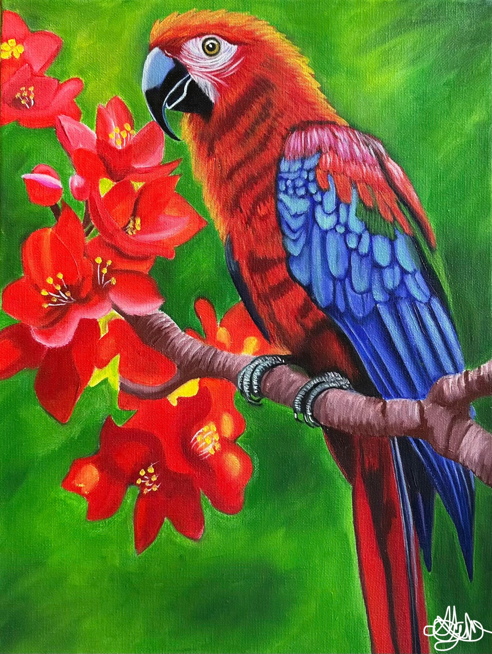 SALE - Original Oil Painting - Hand Painted - Macaw