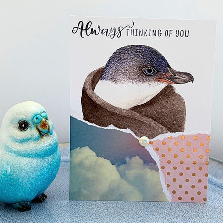 Little penguin 