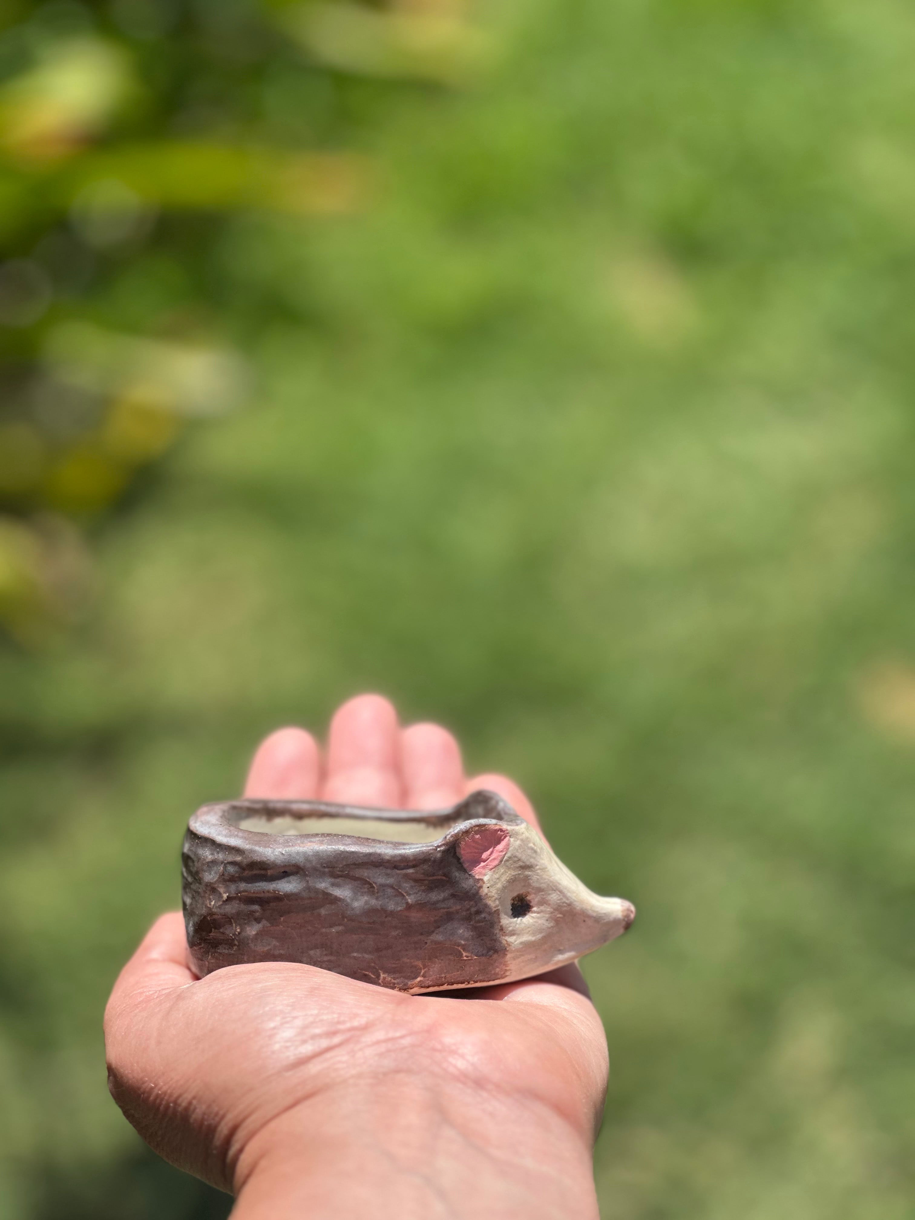 Ceramic Hedgehog  - Pot