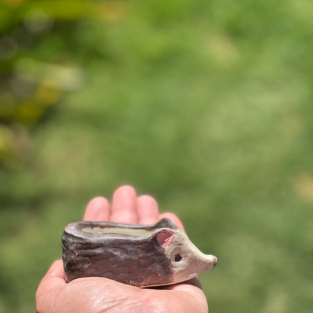 Ceramic Hedgehog  - Pot