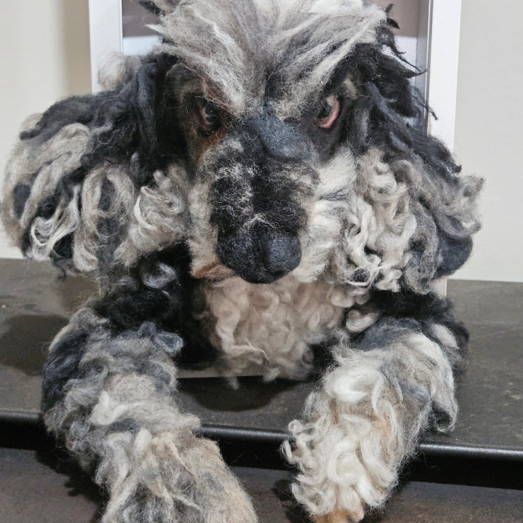Custom 3D Fibre Art Framed Pawtrait incl. Paws