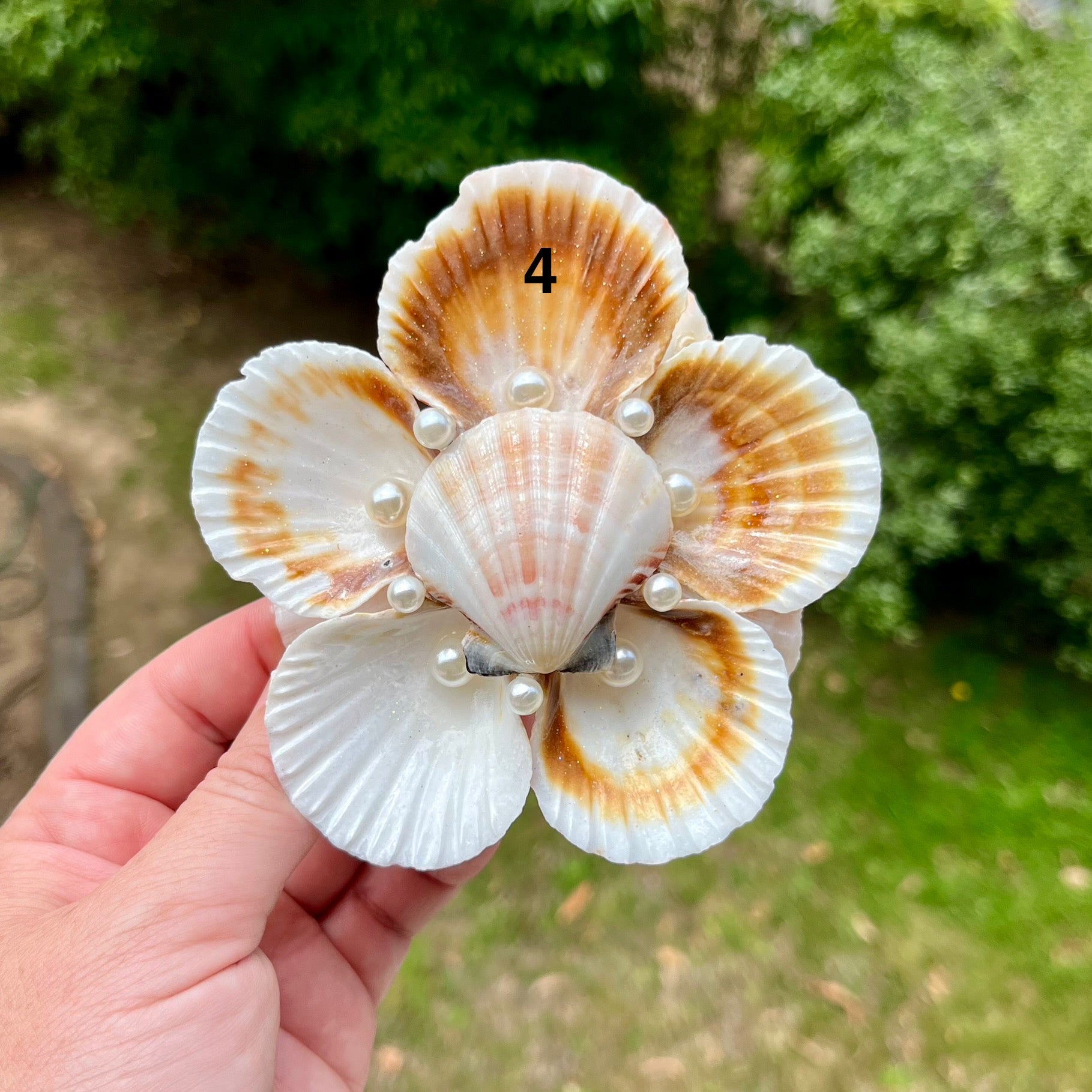 Medium Scallop Shell Flower Trays
