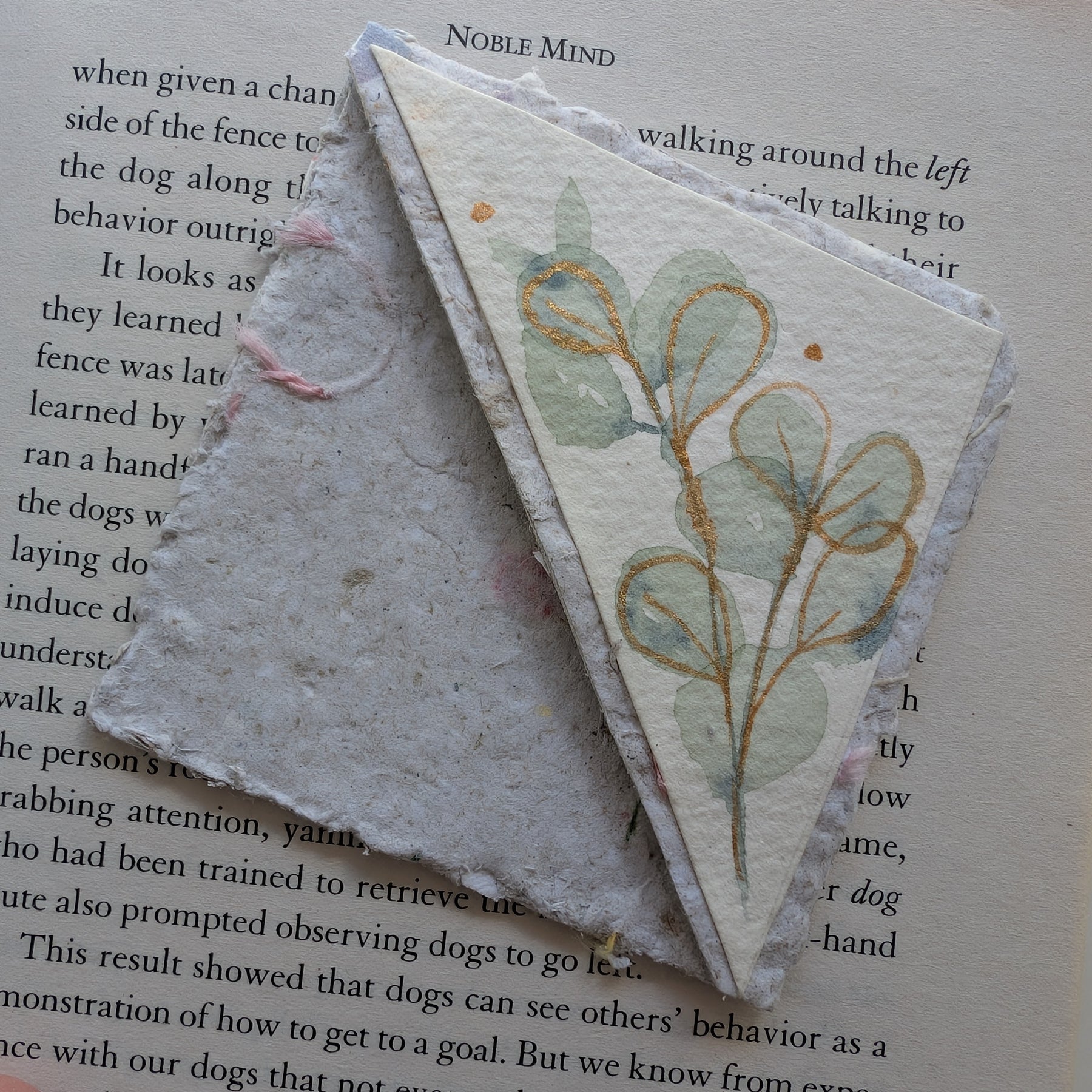 Botanical Bookmark Gift Set – Handmade Watercolour Corner Bookmarks – Eco Friendly Gift for Book Lovers Australia