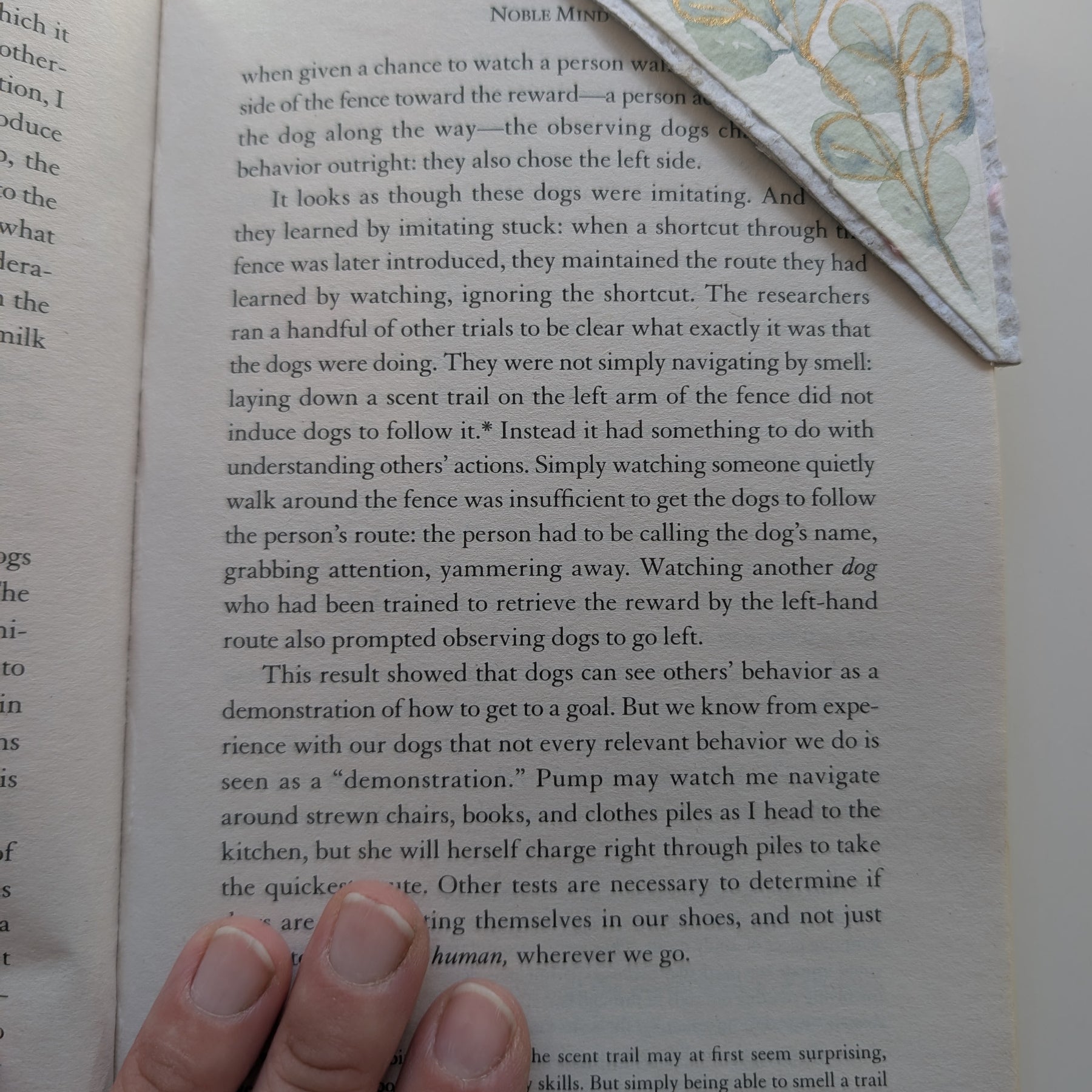 Botanical Bookmark Gift Set – Handmade Watercolour Corner Bookmarks – Eco Friendly Gift for Book Lovers Australia