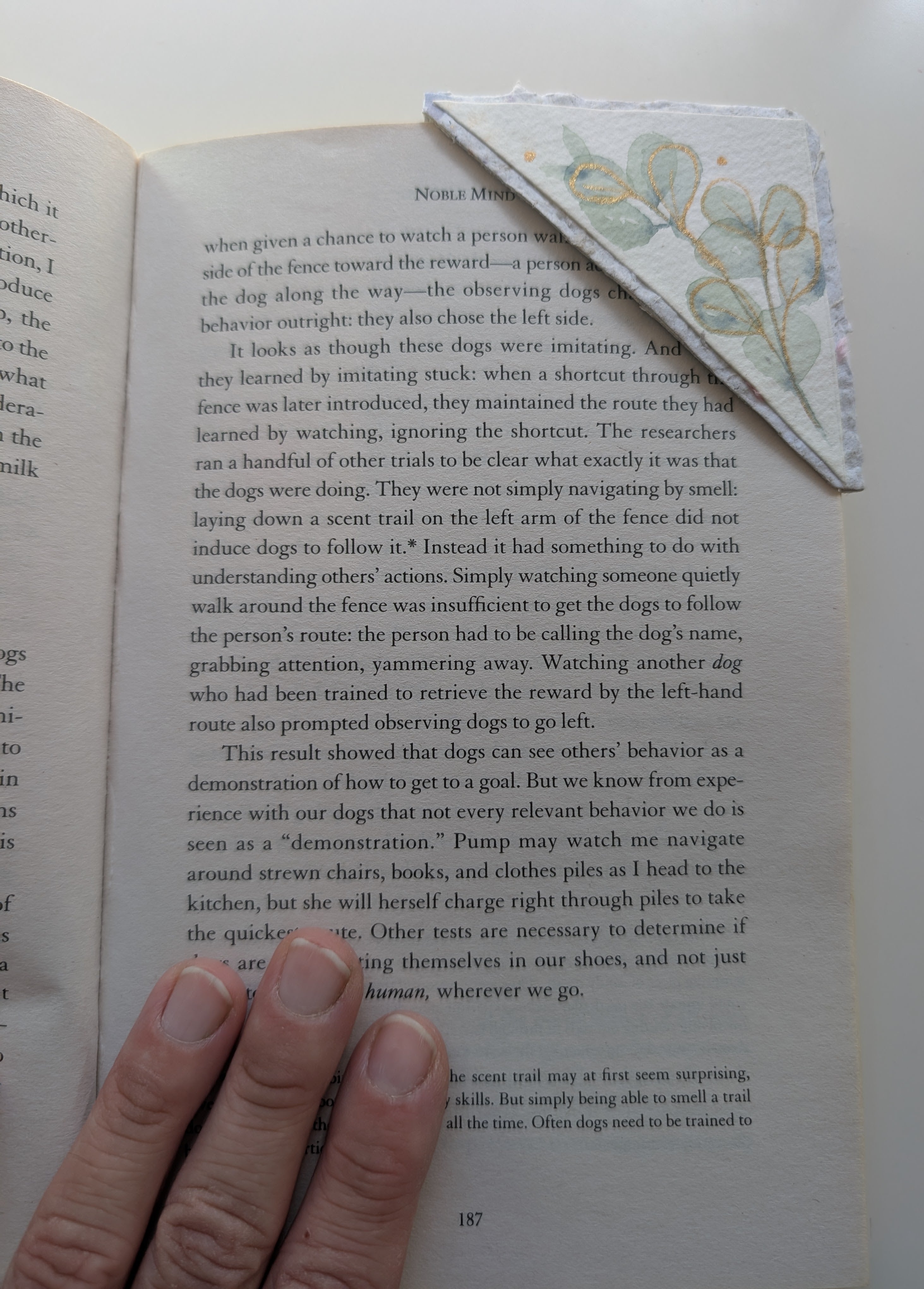 Botanical Bookmark Gift Set – Handmade Watercolour Corner Bookmarks – Eco Friendly Gift for Book Lovers Australia