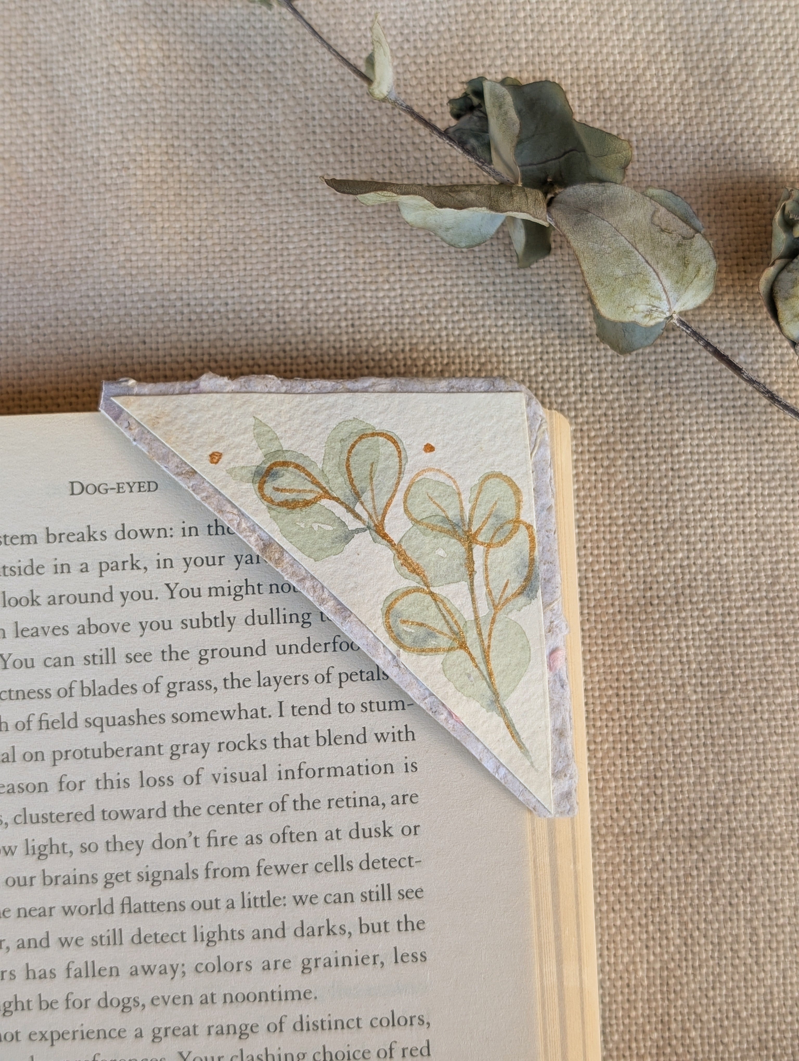 Botanical Bookmark Gift Set – Handmade Watercolour Corner Bookmarks – Eco Friendly Gift for Book Lovers Australia