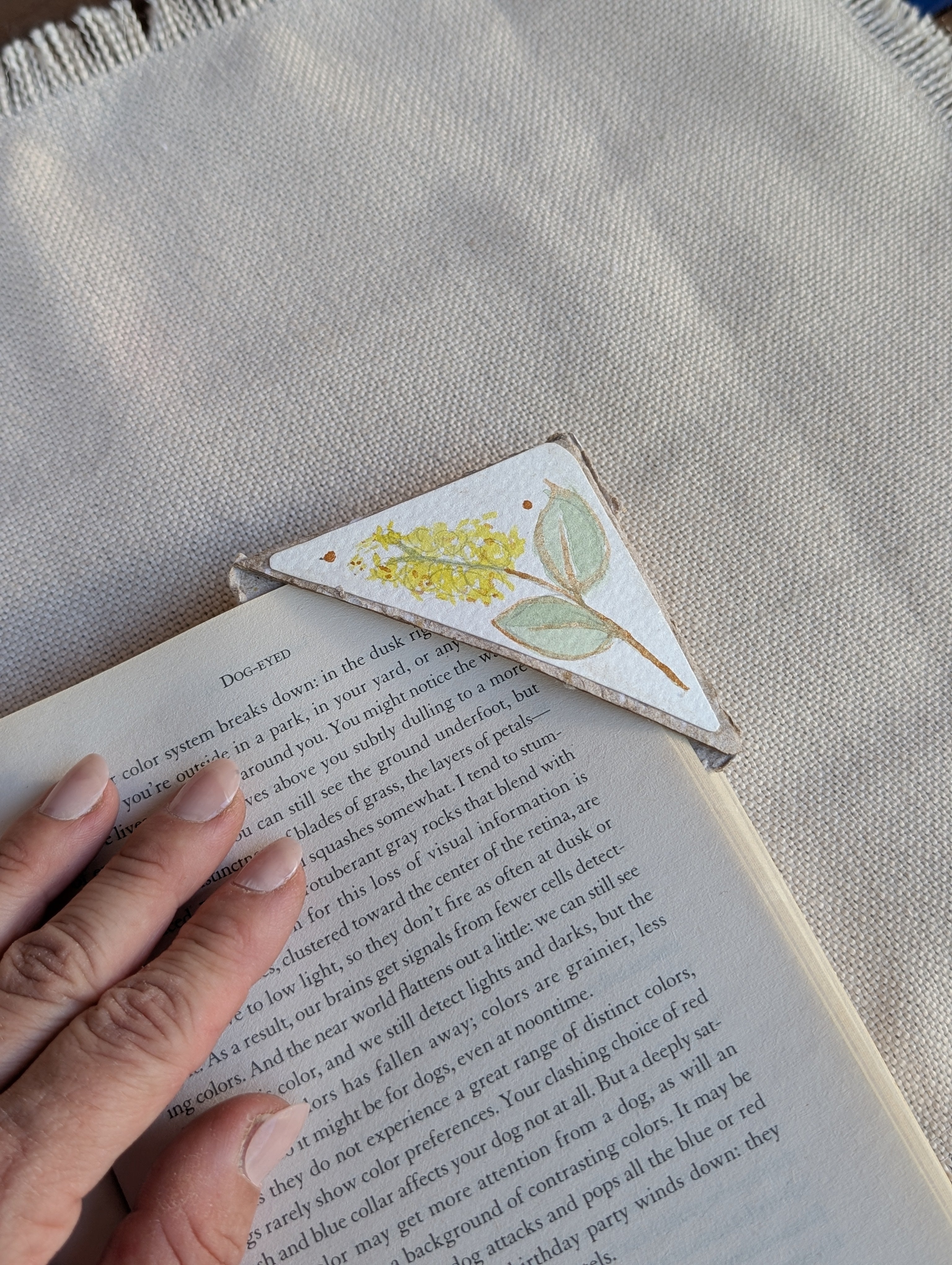 Botanical Bookmark Gift Set – Handmade Watercolour Corner Bookmarks – Eco Friendly Gift for Book Lovers Australia