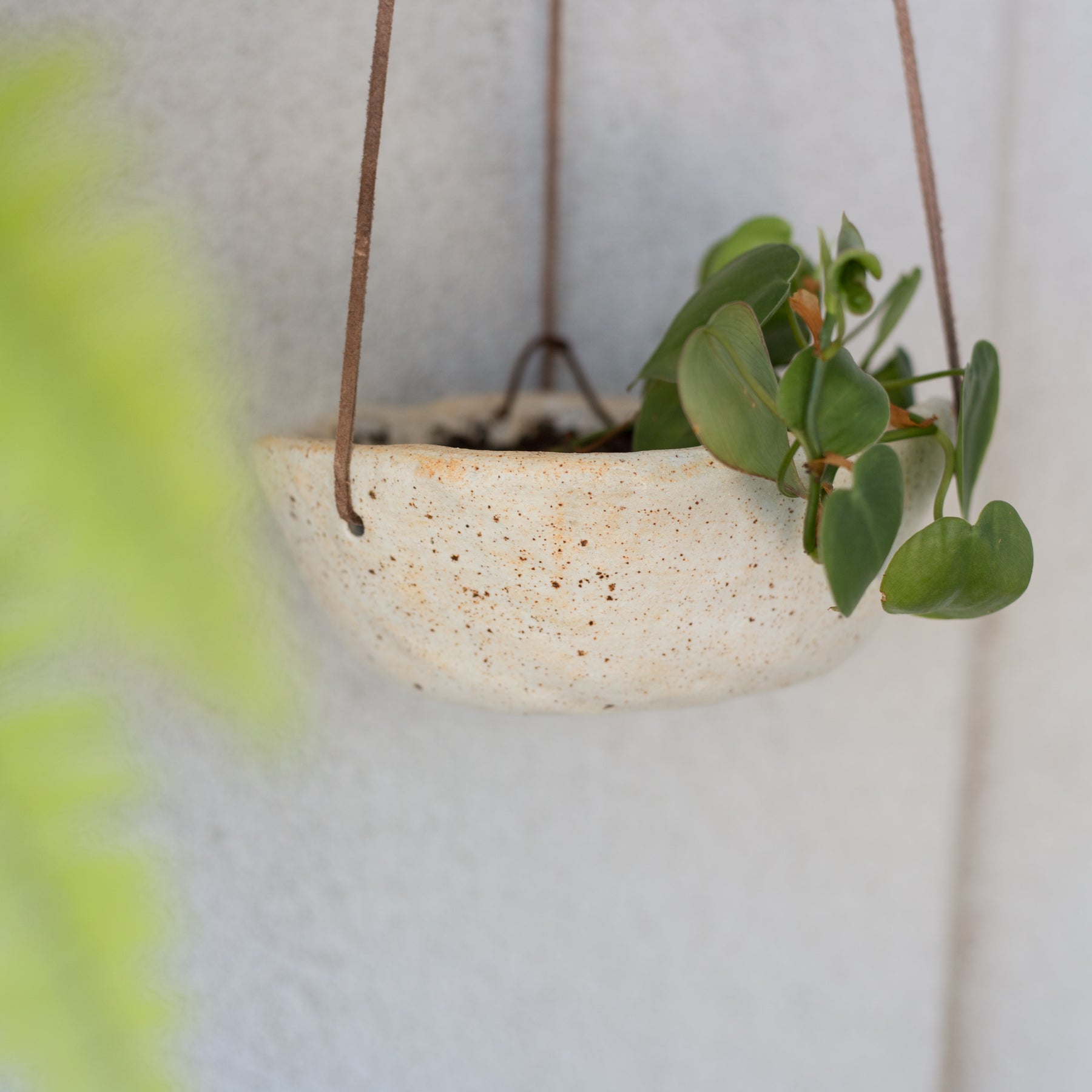 Specked Hanging Planter