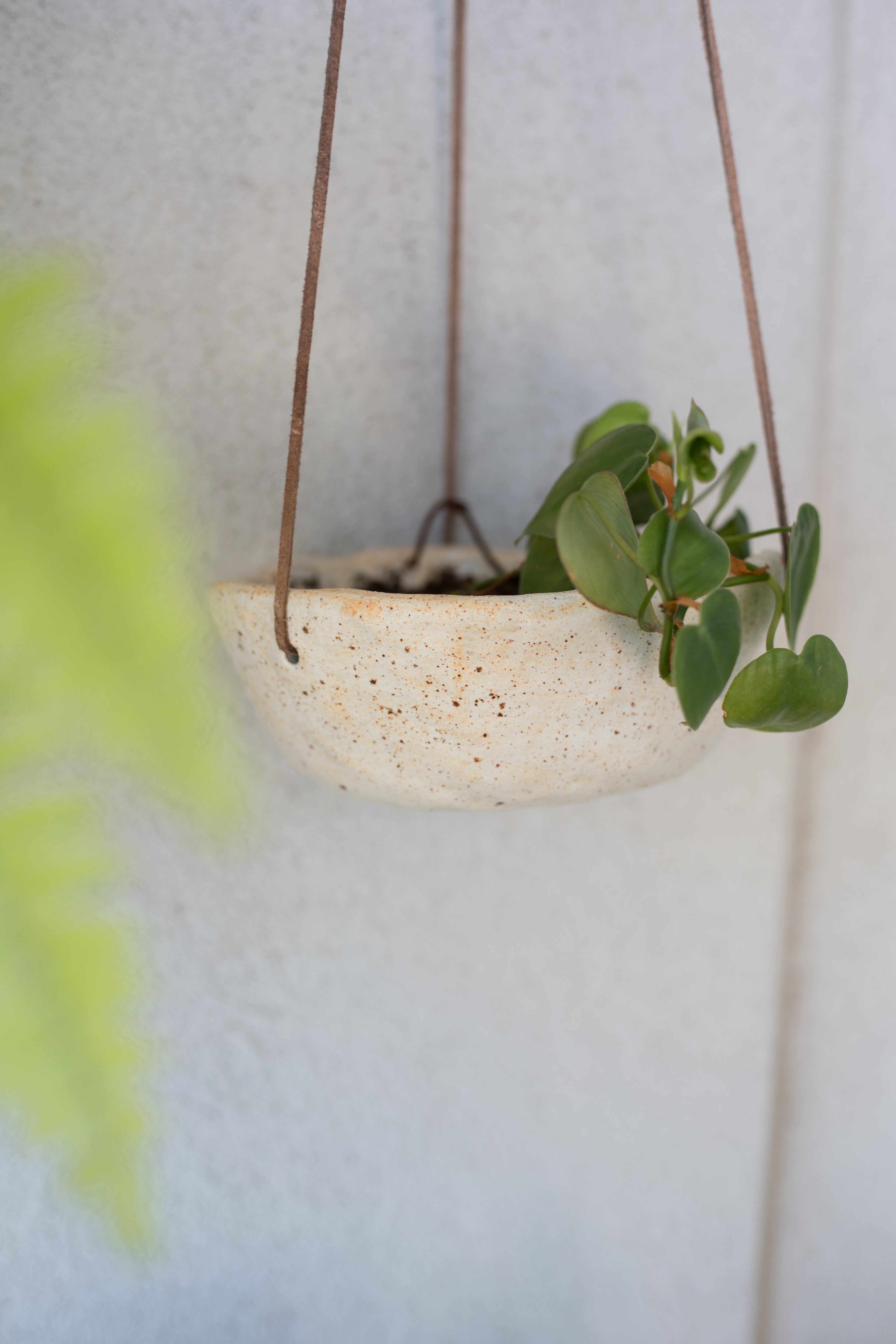 Specked Hanging Planter