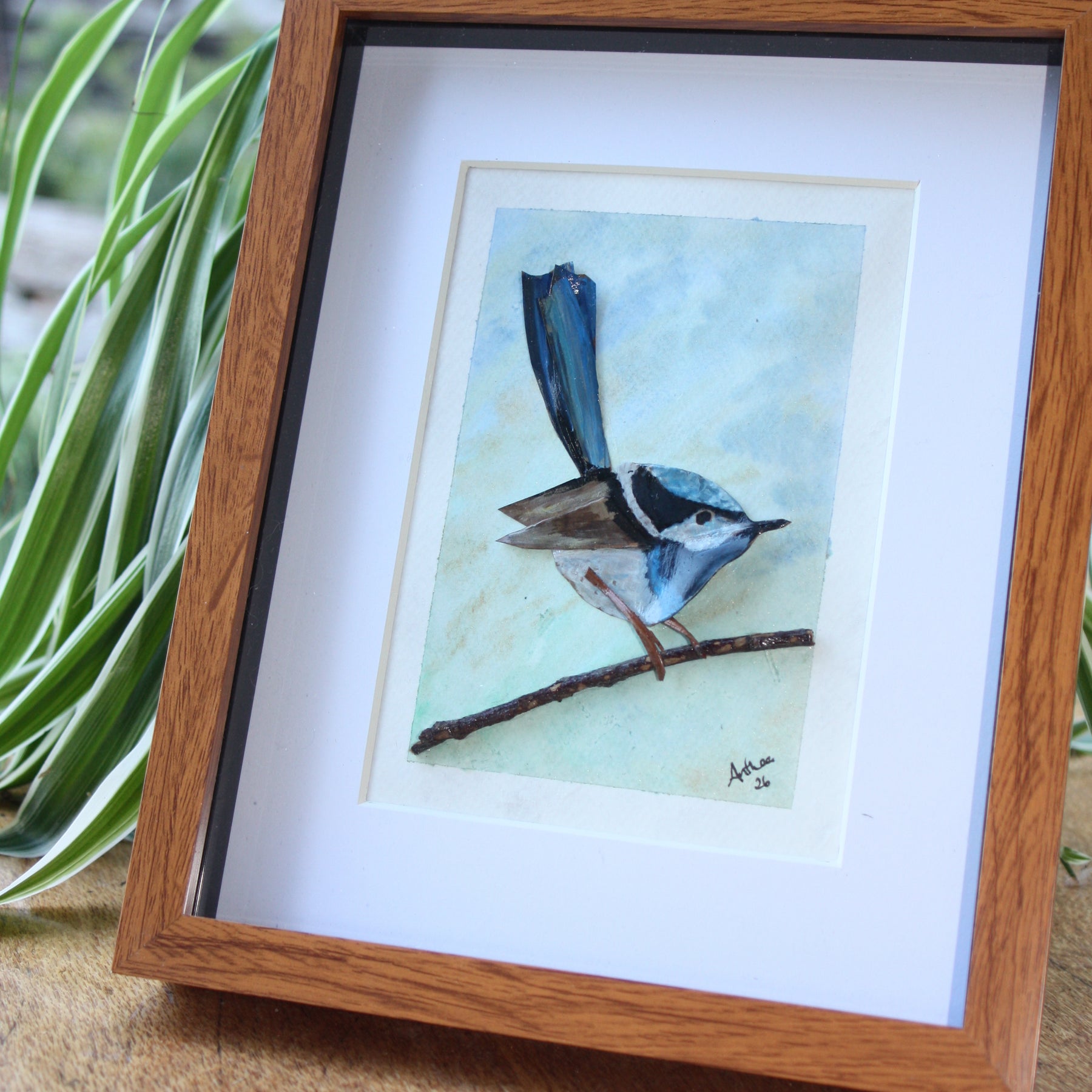 Male Fairy Blue Wren Original Artwork