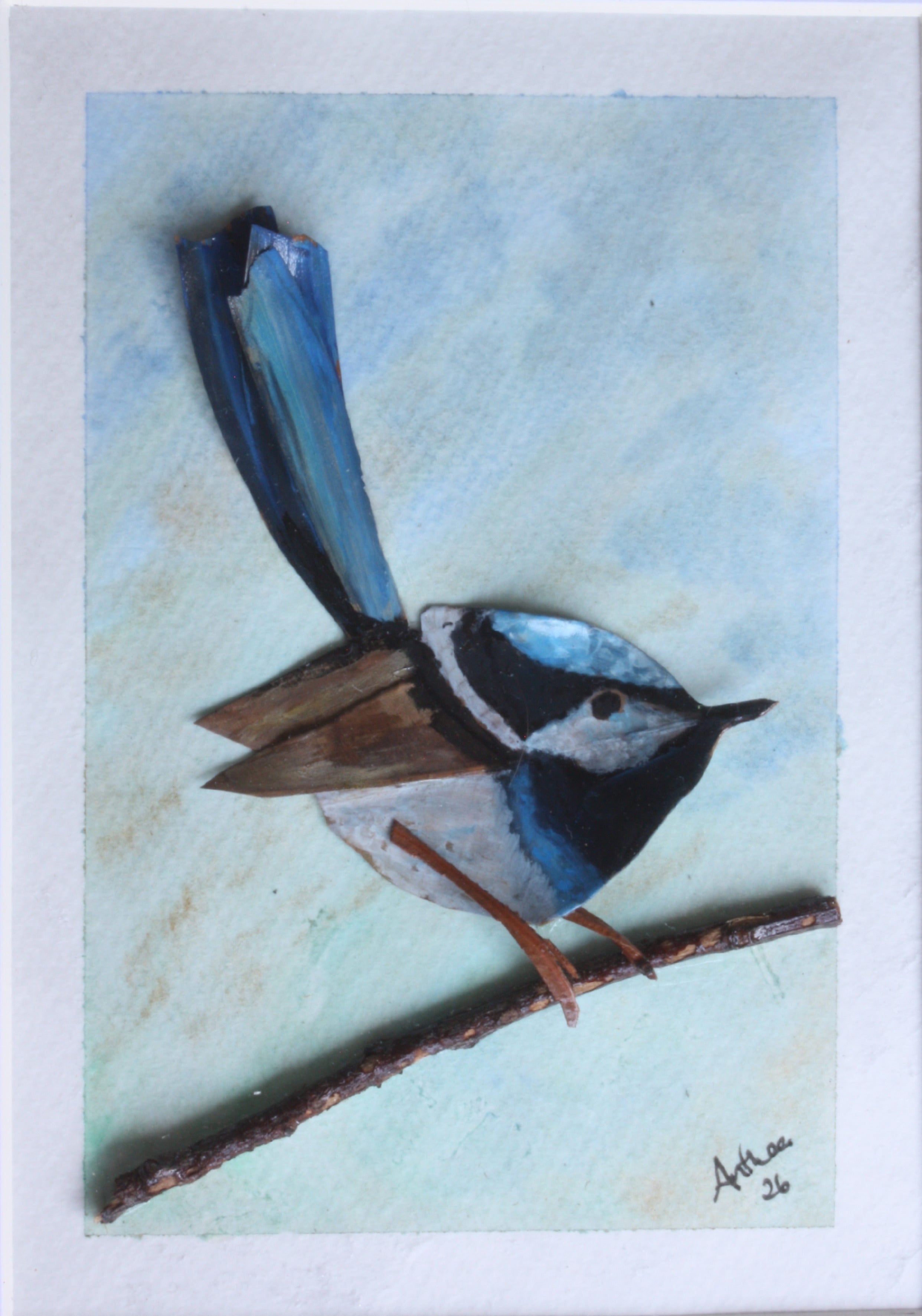 Male Fairy Blue Wren Original Artwork