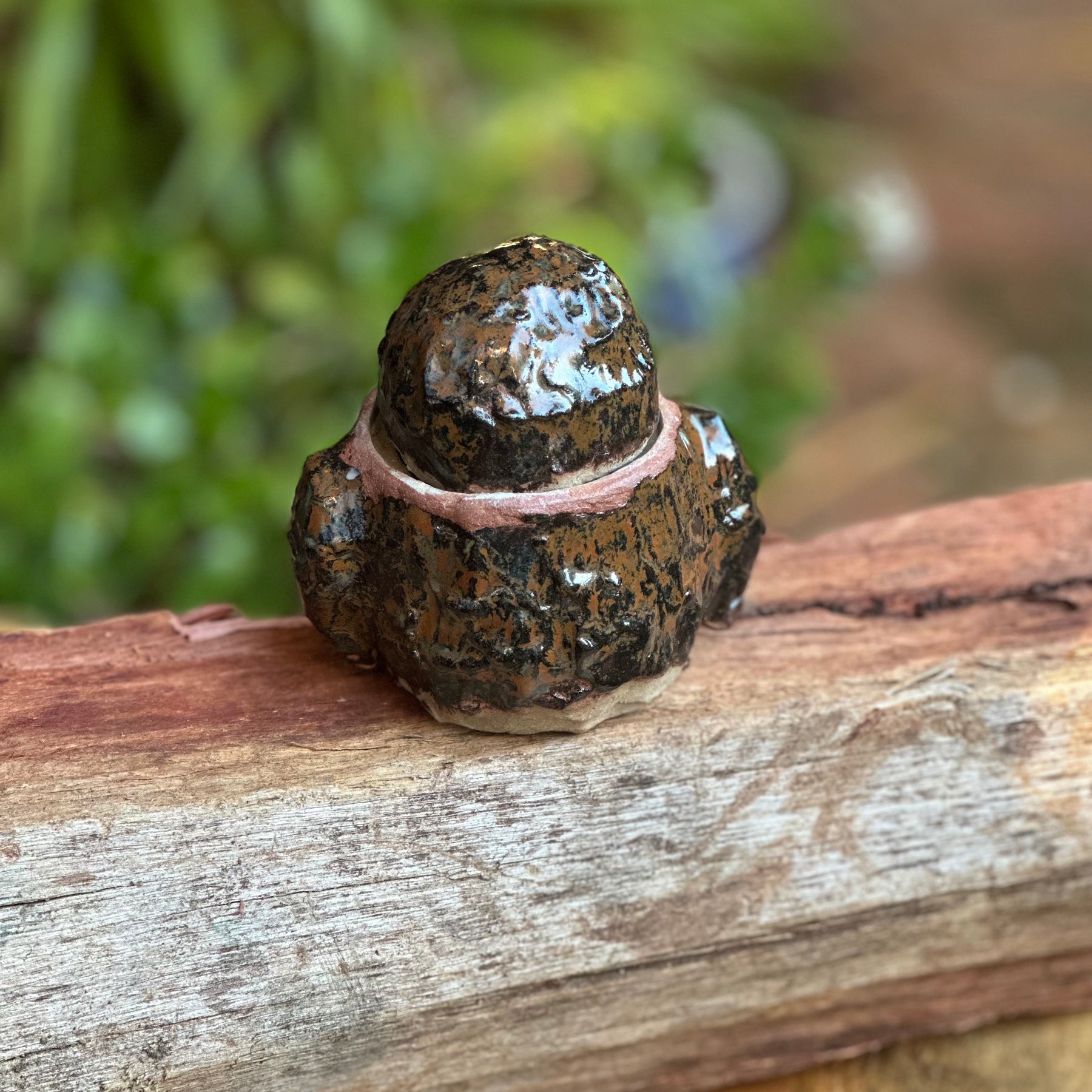 Golden Sapwood Owl Pot | Handmade Stoneware Owl with Lid