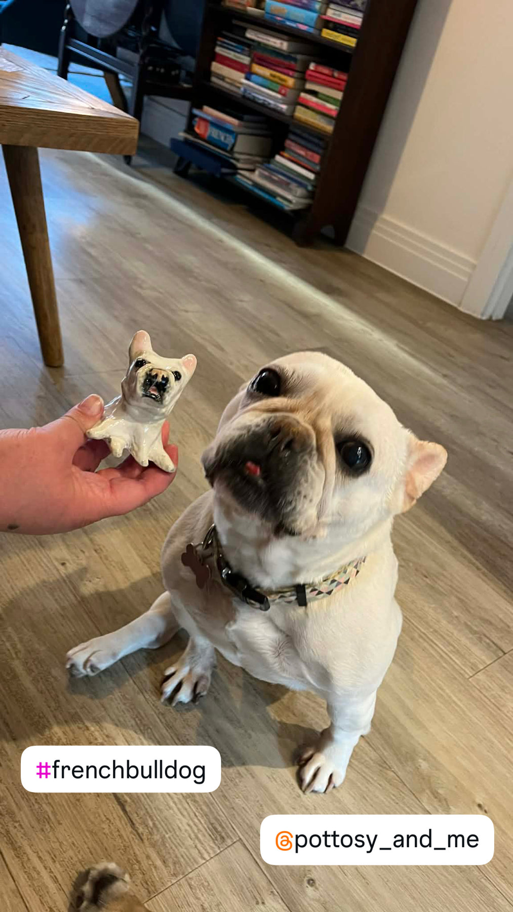 Custom Ceramic Pet & Animal Lookalike | Handmade sculpture figurines