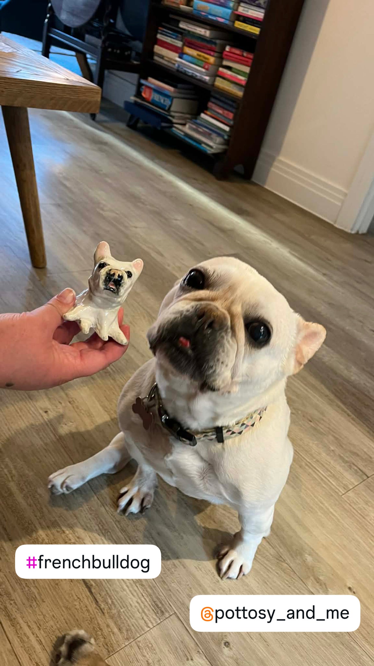 Custom Ceramic Pet & Animal Lookalike | Handmade sculpture figurines