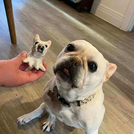 Custom Ceramic Pet & Animal Lookalike | Handmade sculpture figurines