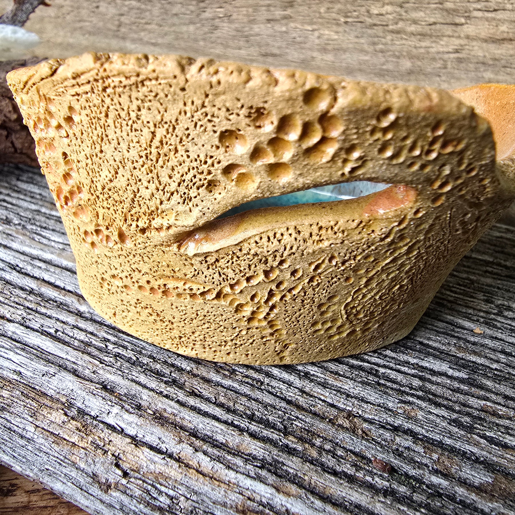 Rockpool with shell trinket dish