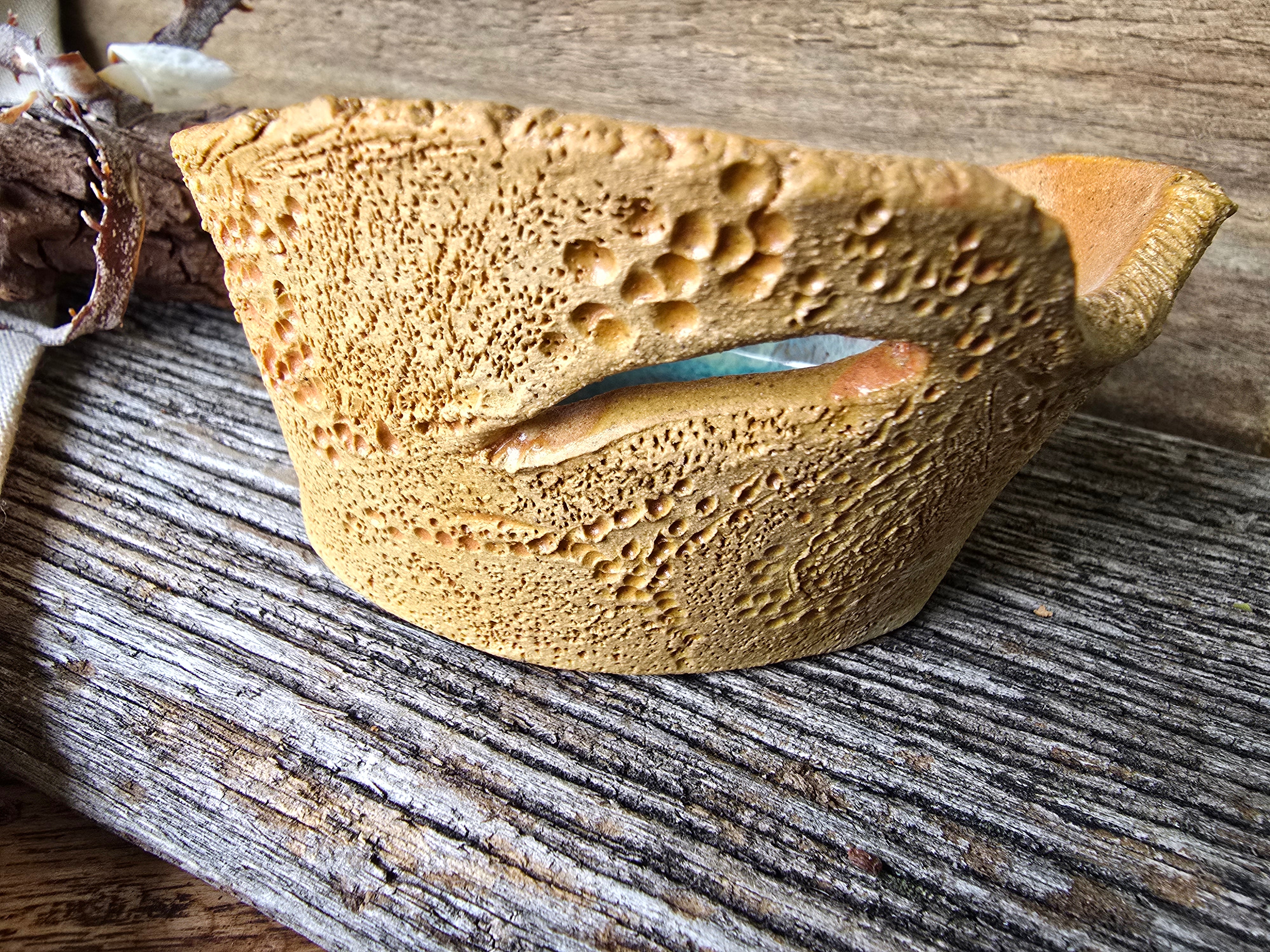 Rockpool with shell trinket dish