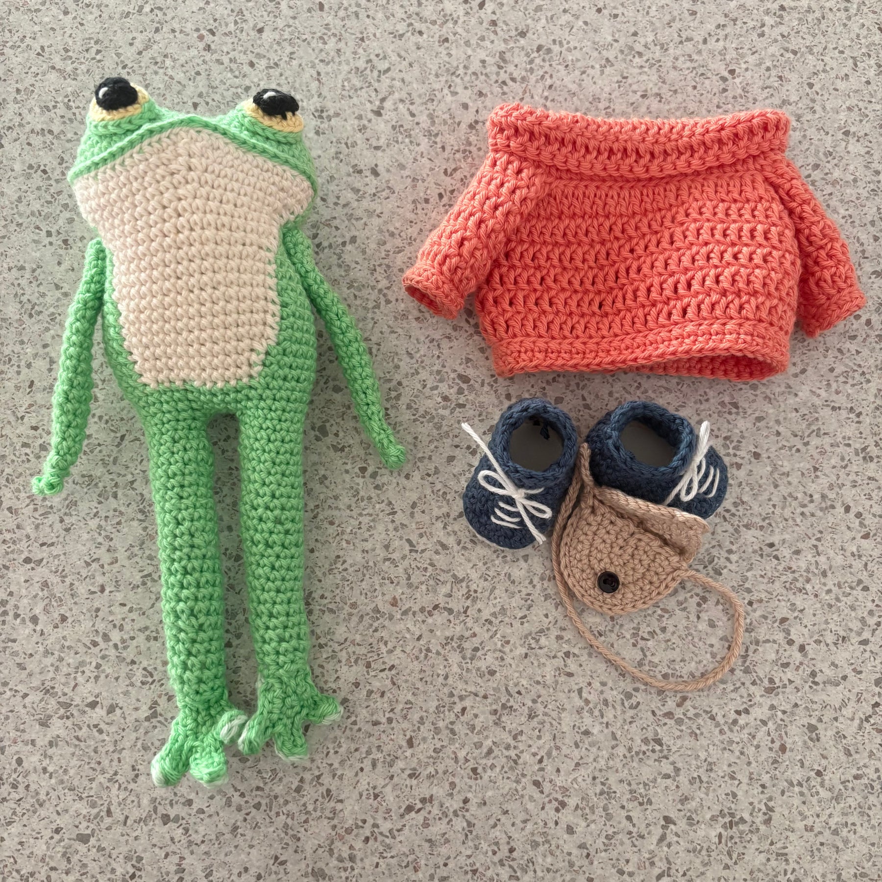 Frog in sweater and sneakers