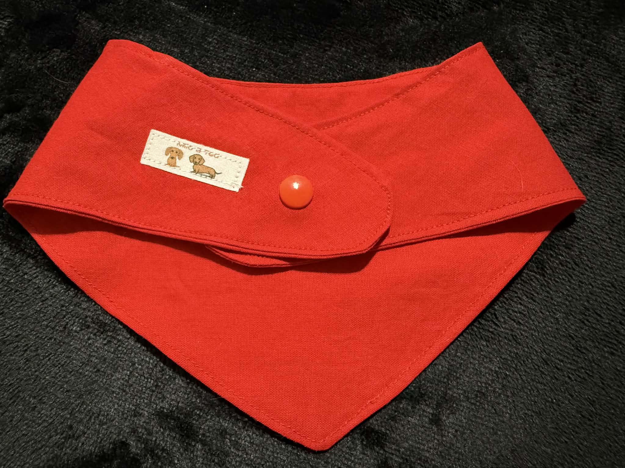 Dog or Dachshund personalized warning Bandanas, colour coded behavior medical indicators