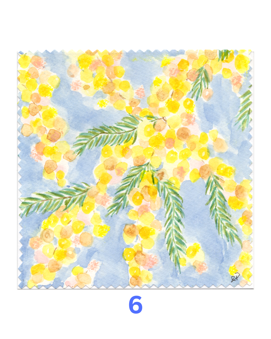 Original Hand-Painted Greeting Cards I Wattle Collection large