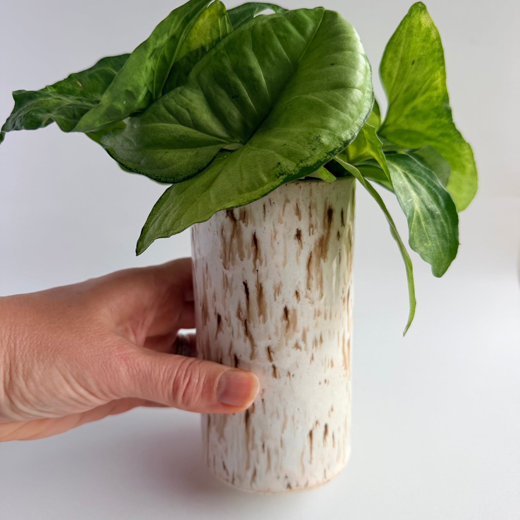 Handmade Ceramic Vase - Cookies & Cream