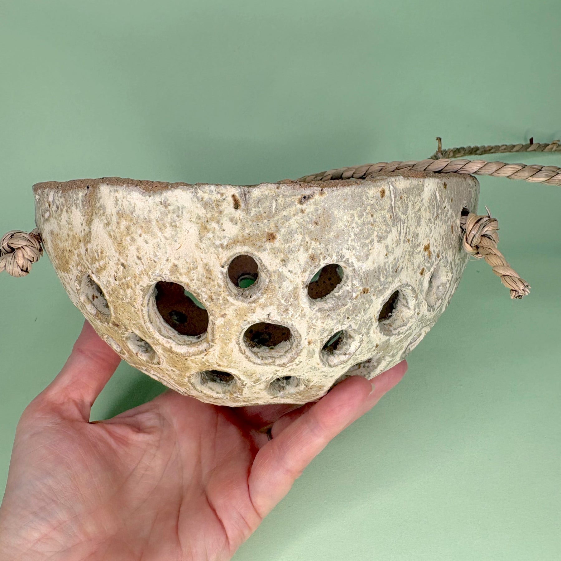 Ceramic dome hanging orchid pot