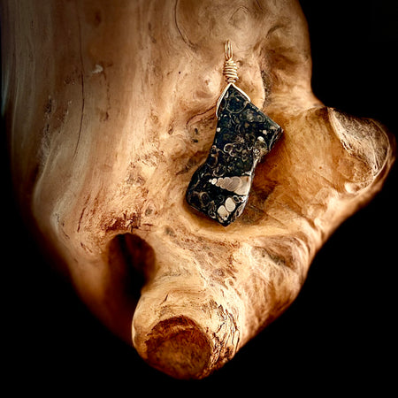 Gold Turritella Fossil Agate Pendant