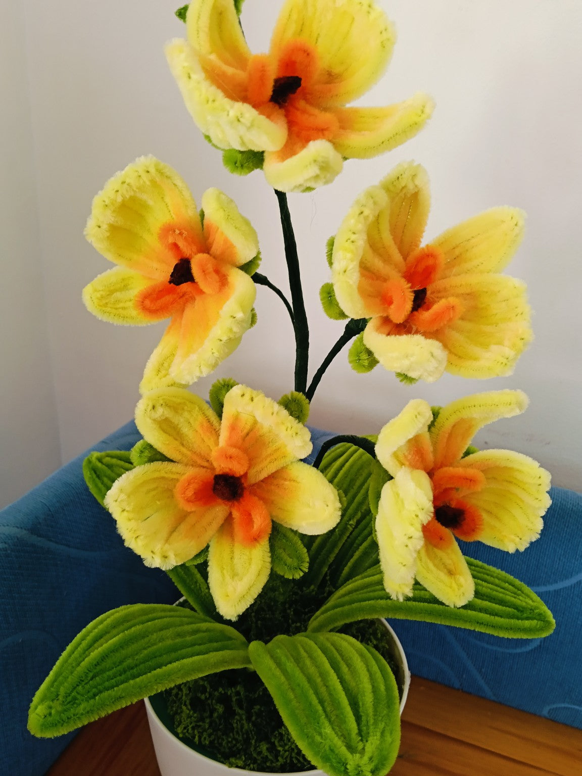 Everlasting Orchid Pot 🌸 | Orchid Flower Arrangement | Home Décor & Gift