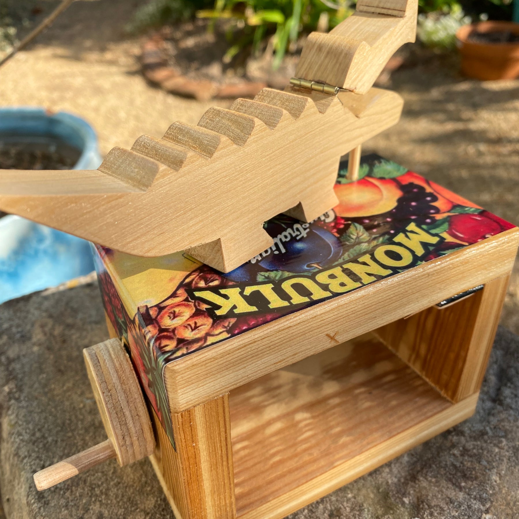 Terry the Toothless Croc