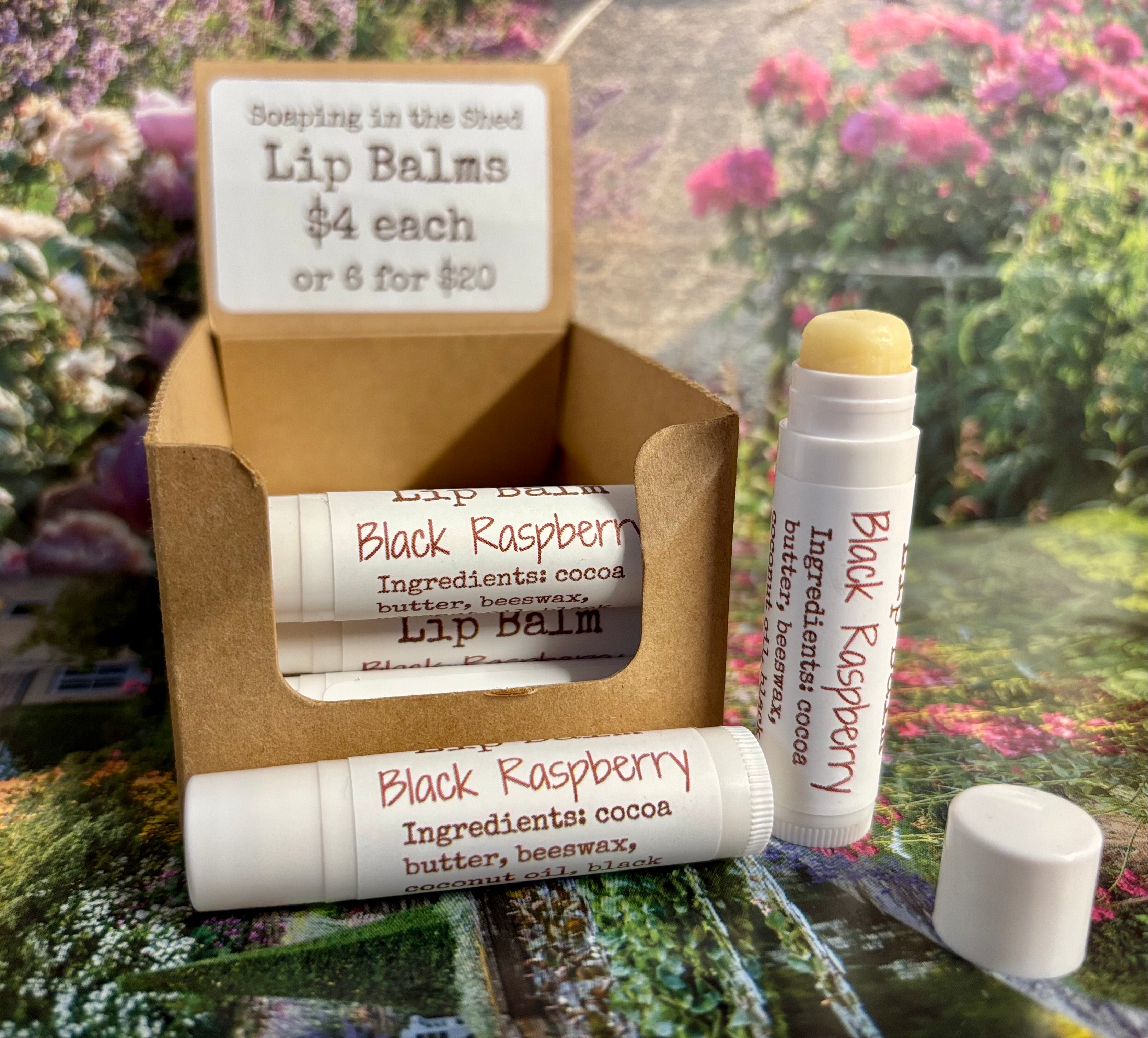 Lip Balm with Black Raspberry and Vanilla-  pack of 6