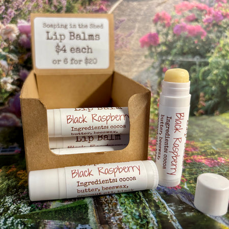 Lip Balm with Black Raspberry and Vanilla-  pack of 6