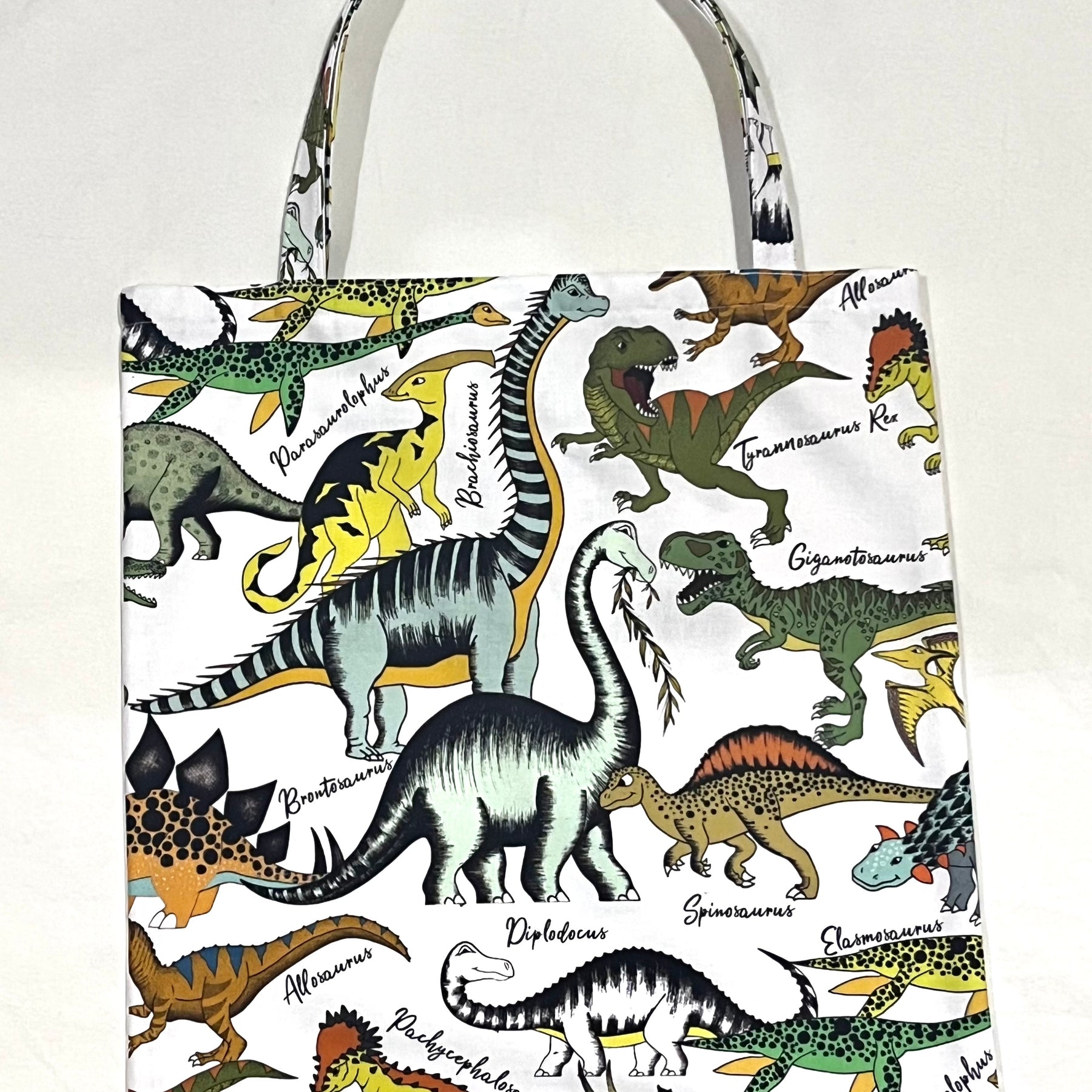 Dinosaurs library/shopping bag