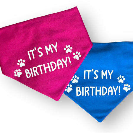 Dog Birthday - Dog Scrunchie Bandana